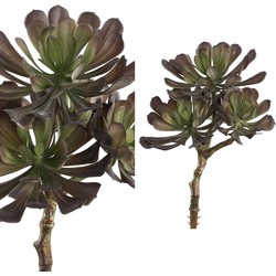 PTMD Aeoniumpluk Succulent Kunstplant - 18 x 15 x 30 cm - Grijs/groen
