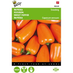 2 stuks - Paprika Snacking mini Oranje Naranja - Buzzy