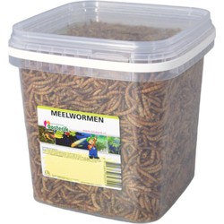Mehlwürmer 2,5 Liter Futter - Suren Collection