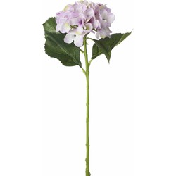 Mica Decorations Kunstbloem Hortensia tak - lila paars - 51 cm - losse steel - Kunst zijdebloemen - Kunstbloemen