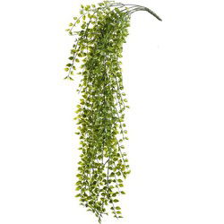 Kunstplant Ficus - groen - tak - UV bestendig - 80 cm - Kunstplanten