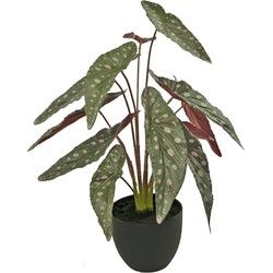 Kunst Begonia 48 cm in sierpot zwart