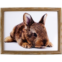 Laptray/schoottafel konijn print 43 x 33 cm - Dienbladen