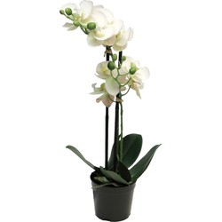 Bellatio Design Orchidee bloemen kunstplant Bora - bloemen/bloemetjes - wit - H50 cm - Phalaenopsis - Kunstplanten