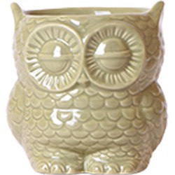 Kolibri Home | Owl bloempot - Groene keramieken sierpot - Ø9cm