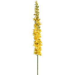 Eremurus l105 cm geel zijde nepbloem
