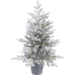 Grandis tree fr. micro led bo od 487t H120 cm D77 cm