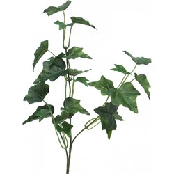 Ivy Chicago Tak 55 cm kunsthangplant - Nova Nature