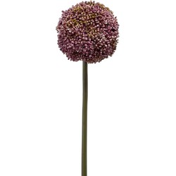 Emerald Allium/Sierui kunstbloem - losse steel - paars - 75 cm - Natuurlijke uitstraling - Kunstbloemen