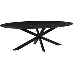 Eettafel James 240x110x76 cm