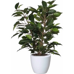 Groene ficus kunstplant 40 cm met plantenpot glanzend wit D13.5 en H12.5 cm - Kunstplanten