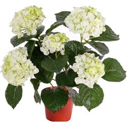 Topart kunstplant met bloemen - Hortensia - creme wit - H36 cm - Kunstplanten