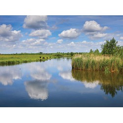 Water wolk 70x50cm Tuinschilderij - Customize-it