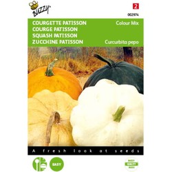 5 stuks - Patisson Courgette Colour mix Tuinplus - Buzzy