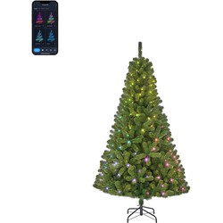 Black Box Trees Slimme Verlichting Kerstboom - 115x115x185 cm - Groen