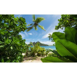 Sanders & Sanders fotobehang jungle groen en blauw - 450 x 280 cm - 612687