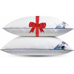 Fabiola - Zacht Halfdons Hoofdkussen - Set van 2 stuks - DownPass gecertificeerde Dons & Veren - Ergonomisch - 60x70cm