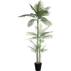 PTMD Kunstplant Palm - 160x160x248 cm - Plastic - Zwart