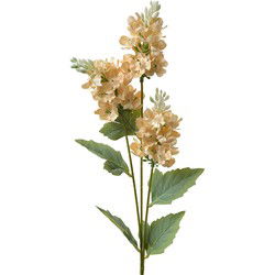 Clayre & Eef Kunstbloem 71 cm Beige Kunststof