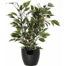 Groen/witte ficus kunstplant 40 cm met plantenpot zwart D13.5 en H12.5 cm - Kunstplanten