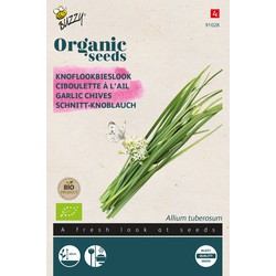 Organic Bieslook Knoflook (BIO) - Buzzy