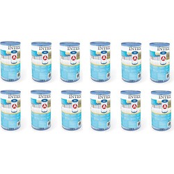 Intex 29000 Filter Cartridge Type A 12 Stuks voor Zwembad 244/305/366 cm