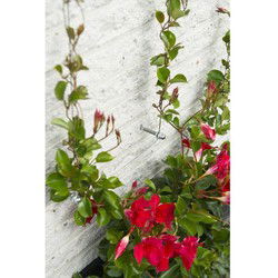 Metalen Trellis Nature 6040760 - voor klimplanten