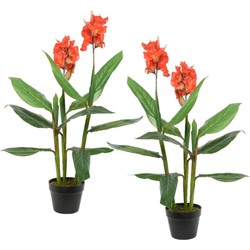 Set van 2x stuks Canna Bloemriet nepplanten/planten 89 cm met zwarte pot - Kunstplanten