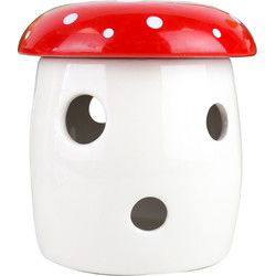 Gift Republic Paddenstoel Kweekset