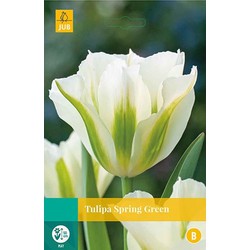 5 stuks - Tulipa Spring Green 5 bollen