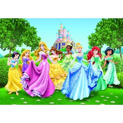 Disney fotobehang prinsessen groen, geel en blauw - 360 x 254 cm - 600360