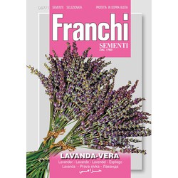 Lavendel Lavendel Vera 87/1 zaden - Franchi