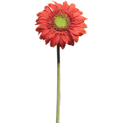 Daisy Gerbera red 48 cm kunstbloem