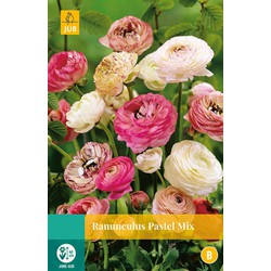 2 stuks - Ranunculus Pastel Mix 7 bollen