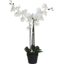 Mica Decorations Orchidee bloem kunstplant - wit - H75 x B50 cm - Kunstplanten