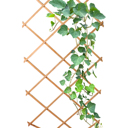 HIXA Klimrek Planten - Uitschuifbaar - Trellis - Hout - Tuinlatwerk - 180x90cm