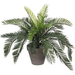 Mica Decorations Cycas Palm Kunstplant - 44x44x37 cm - PVC - Groen