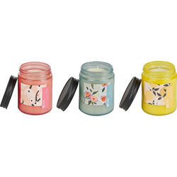 FRUITY BLOOM - Geurkaars set - Roos/Kaki/Citroenbalsem- Soja wax