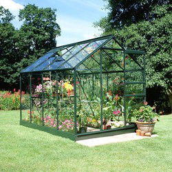 Popular 86, groen gecoat, tuindersglas 3mm