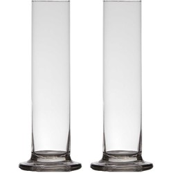 2x stuks luxe stijlvolle 1 bloem vaas/vazen 30 x 6 cm transparant glas - Vazen