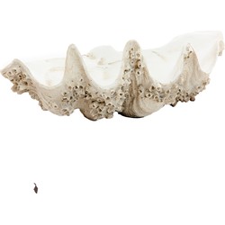 Light & Living - Ornament SHELL - 52x28x18cm - Bruin