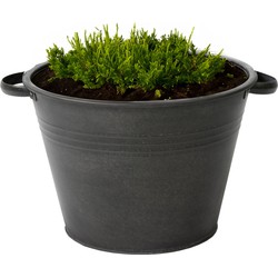 Mega Collections plantenpot/bloempot Farmer - zink - zwart - D40 X H29 cm - IJzeren emmer / teil