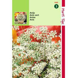 2 stuks - Anijs