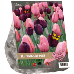 2 stuks - Urban Flowers Twilight zone per 16