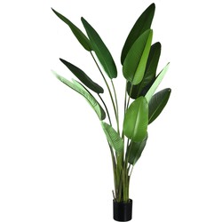 PTMD Leaves Plant Green PE real touch strelitzia XL