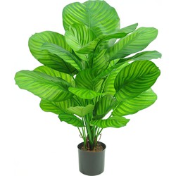 Greenmoods Kunstplant Calathea - Nep plant - 1 Stuk - 72cm  -