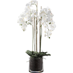 Kunstmatig orchideeën arrangement met transparante witte vaas H126