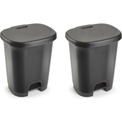 Plasticforte Pedaalemmer - 2x - grijs - kunststof - 27L - 45 cm - Pedaalemmers
