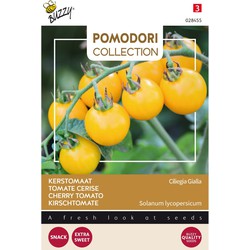 3 stuks - Pomodori ciliegia gialla - Buzzy