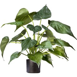 Greenmoods Kunstplant Alocasia - Olifantsoor - Nep plant - 1 Stuk - 51cm